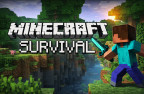 Minecraft Survival img
