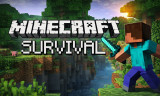 Minecraft Survival background
